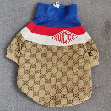 fake gucci dog clothes